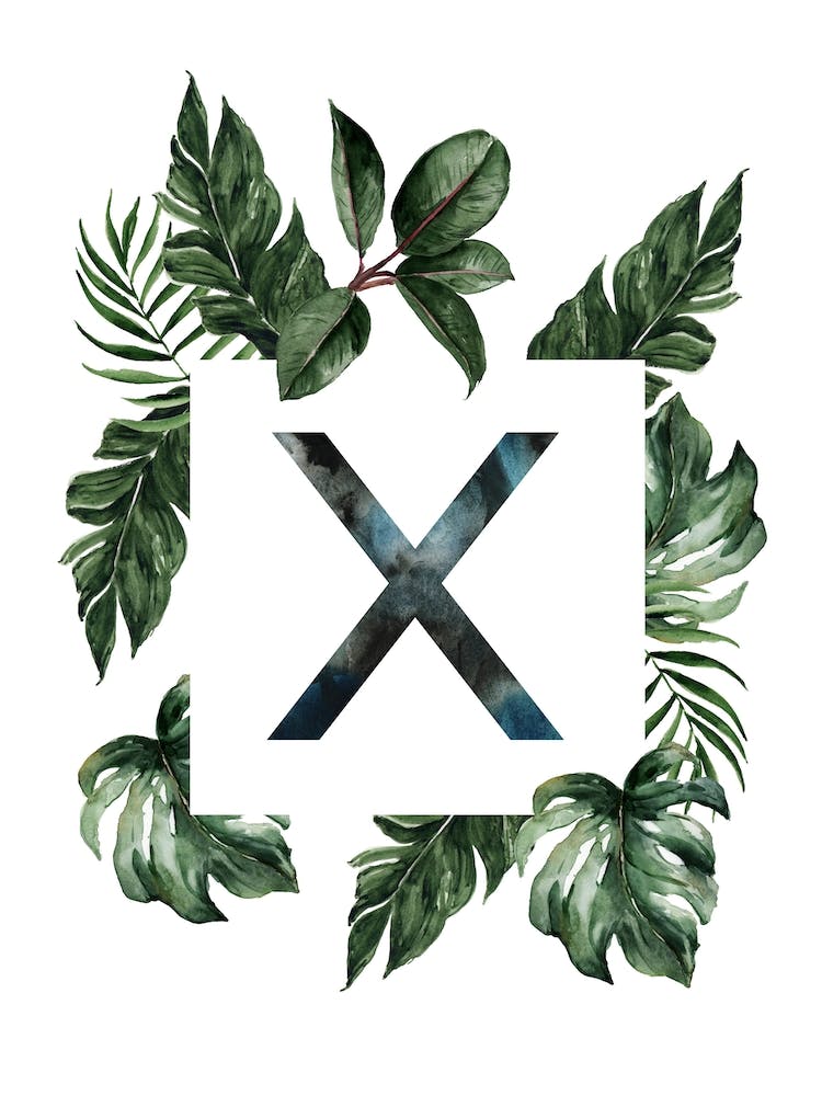 Botanical Alphabet X