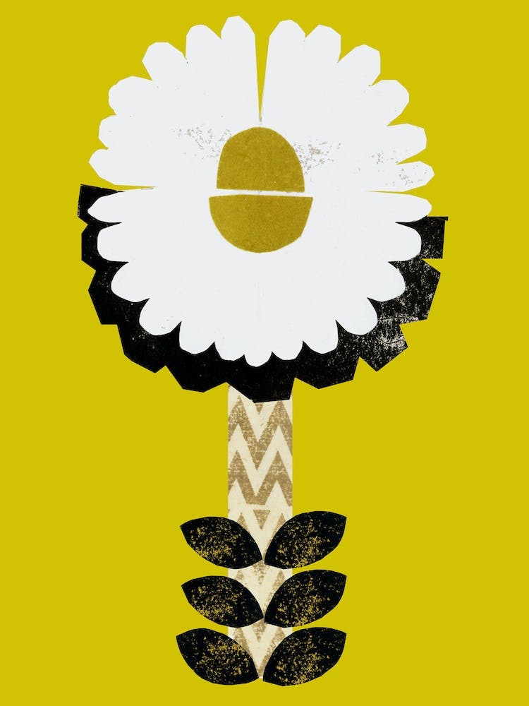 Daisy