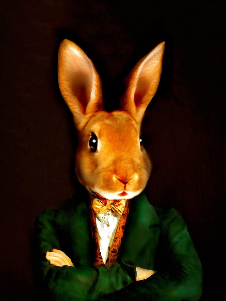 Buster The Magician Rabbit Pet Portraits