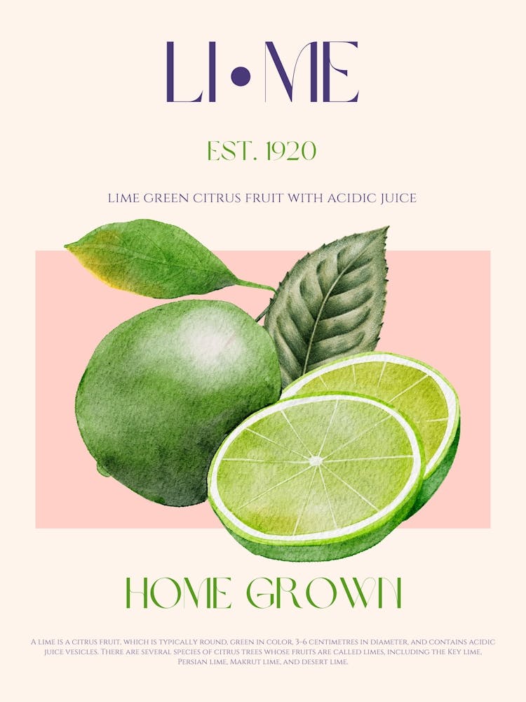 Lime Fruit Mid Century