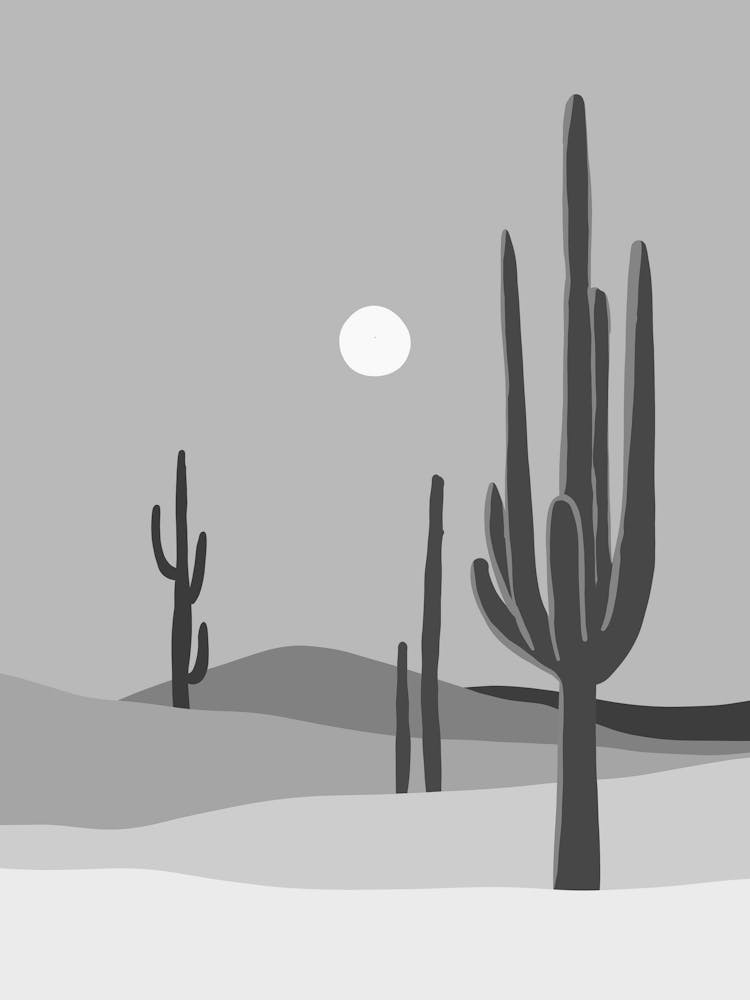 Cactus In The Desert 6