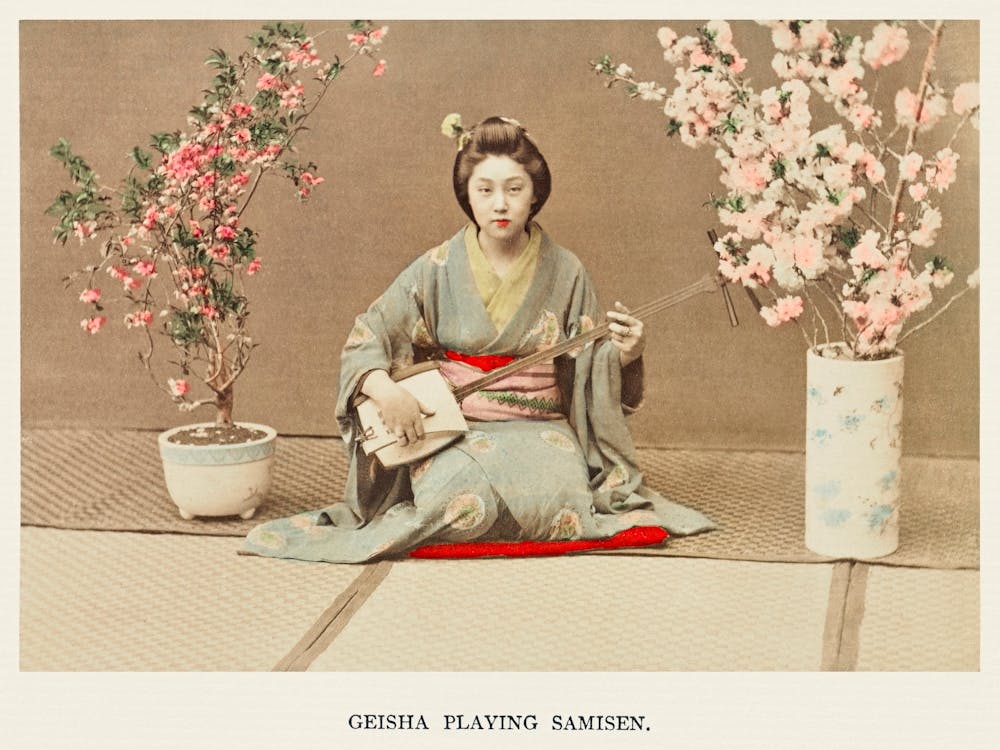 Geisha Playing Samisen, Kazumasa Ogawa