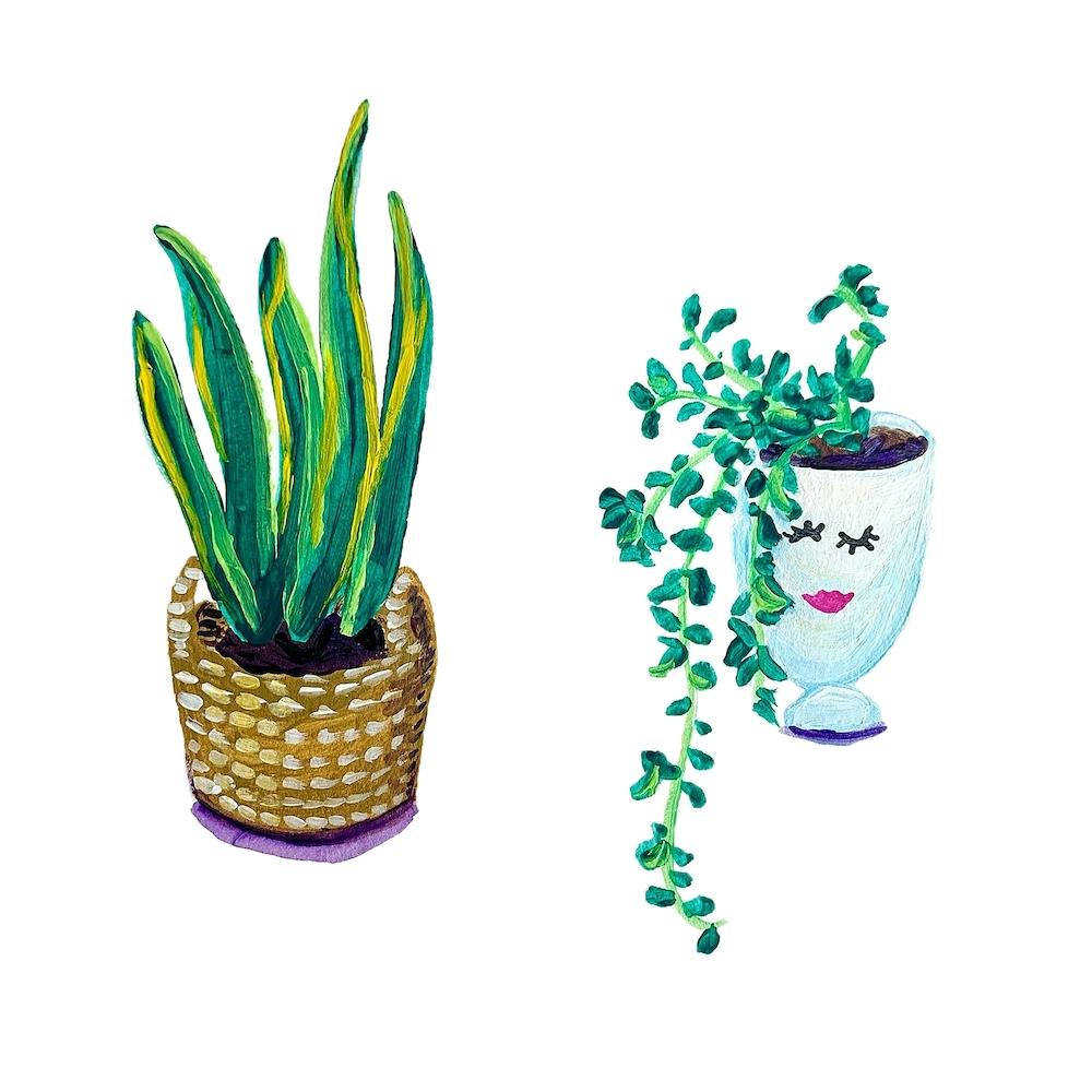 Houseplants Square