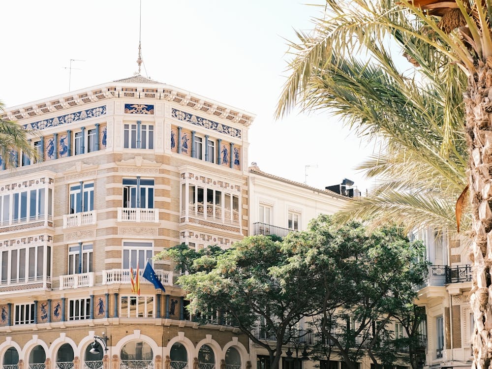 Palm Trees In Front Of A Building // Valencia, Spain, Travel Photography