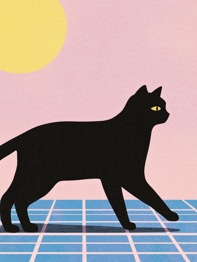 Cat Walking In The Sun