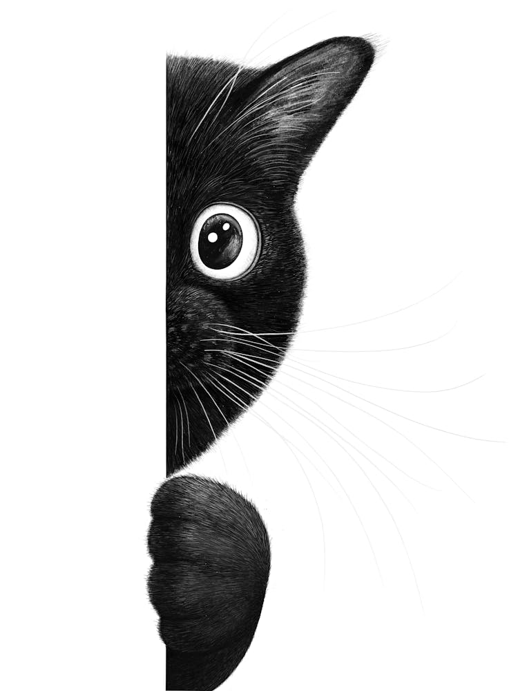 Funny Cat
