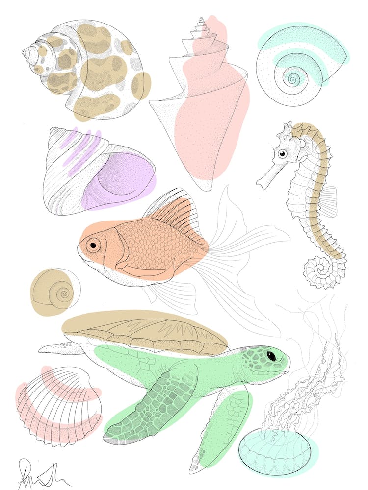 Marine Life