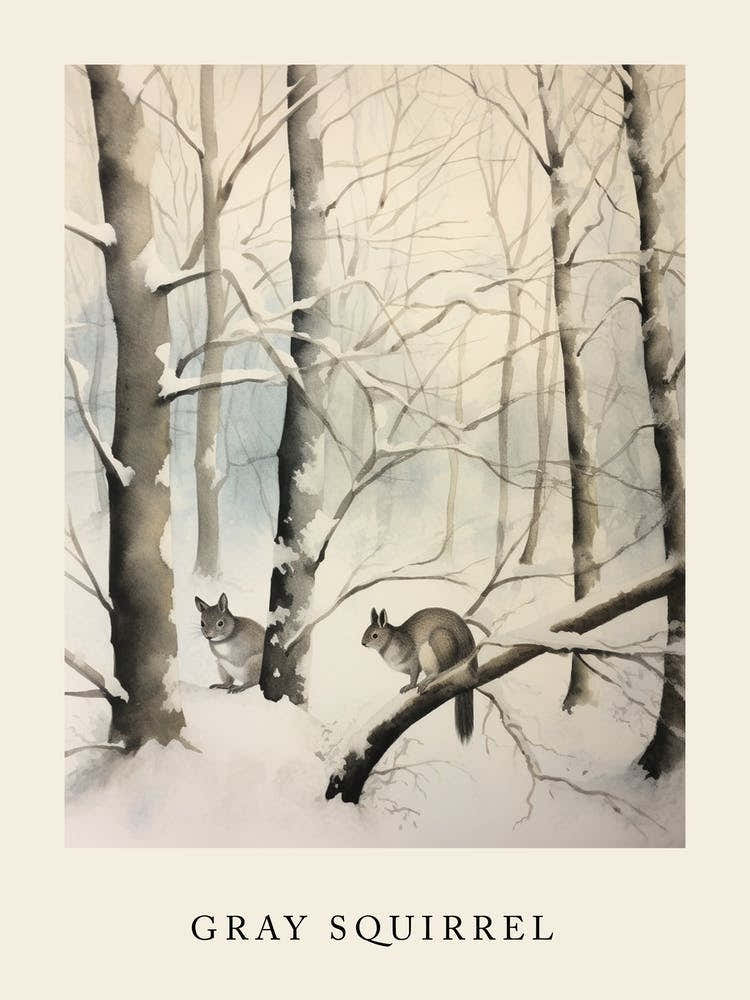 Winter Watercolour Gray Squirrel 1 Poster