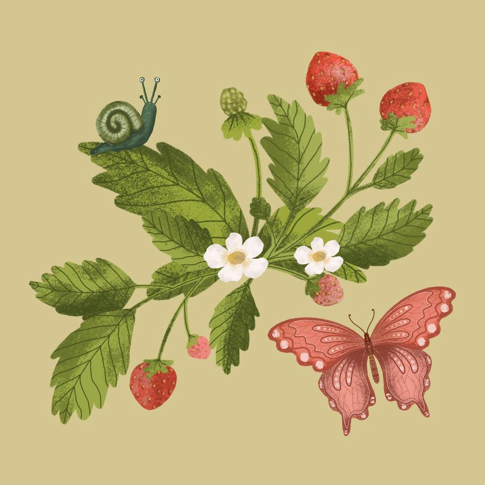 Sweet summer strawberry branch with snail and butterfly