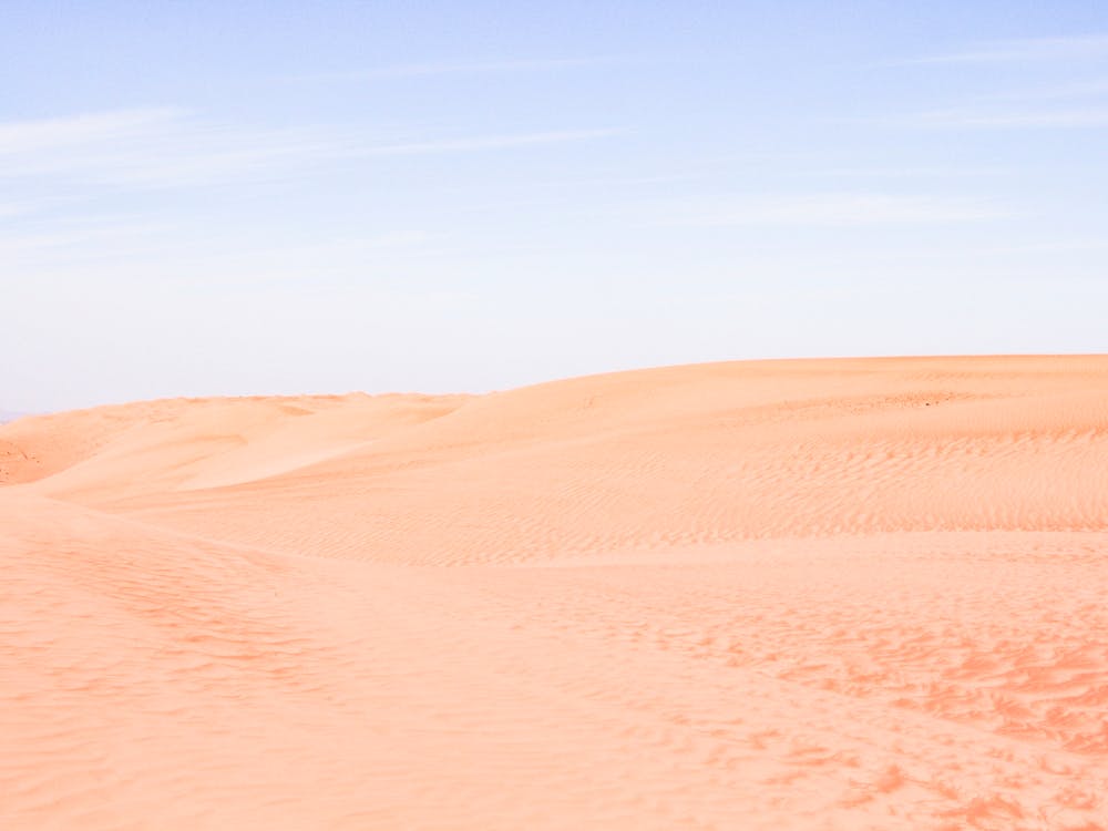 Sandy Desert Landscape