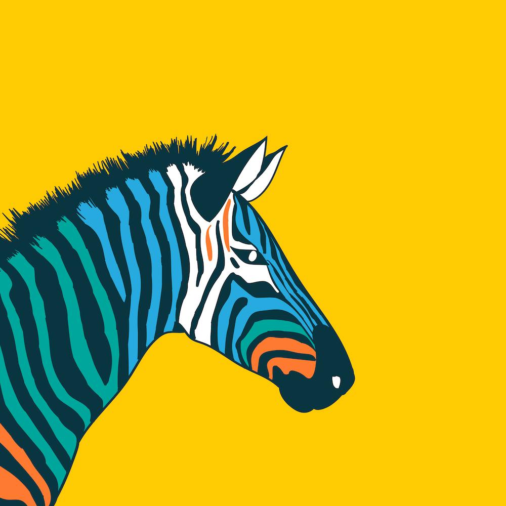 Zebra