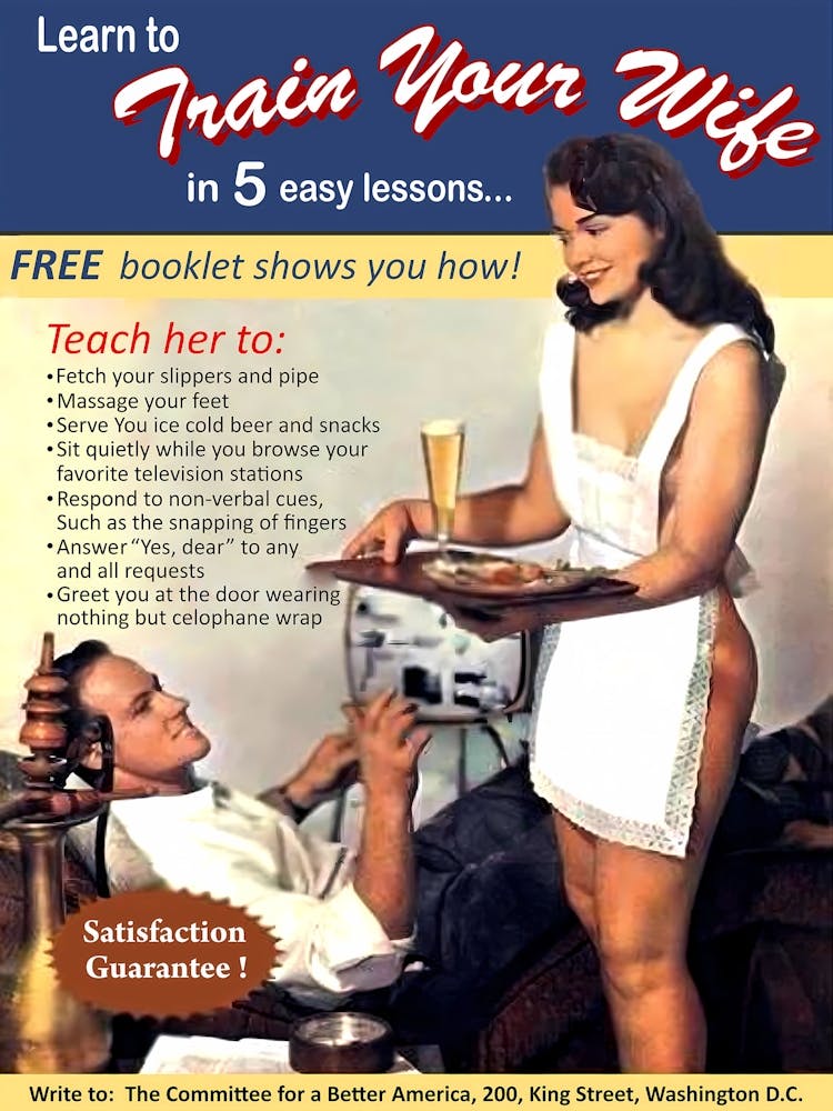 Learn To Train Your Wife, Funny Poster