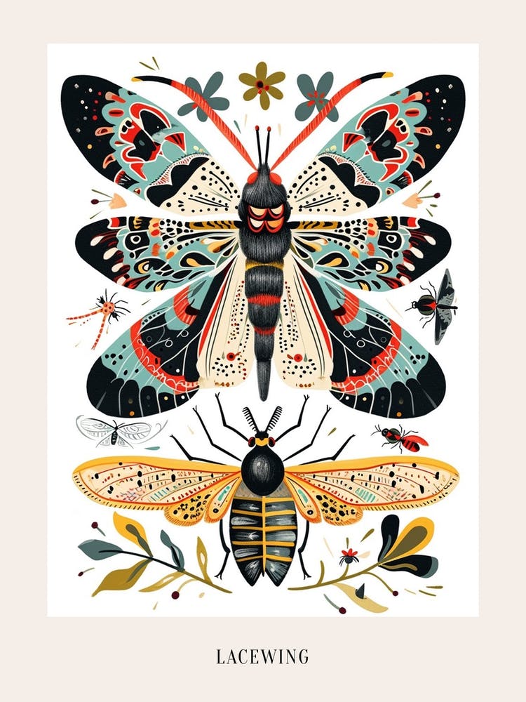 Colourful Insect Illustration Lacewing 7 Poster