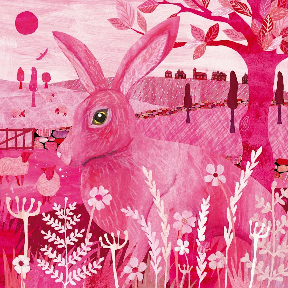 Pink Hare