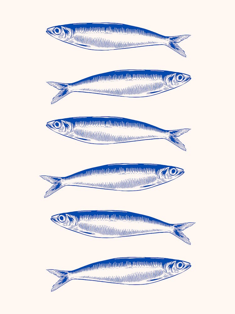 Sardines 3