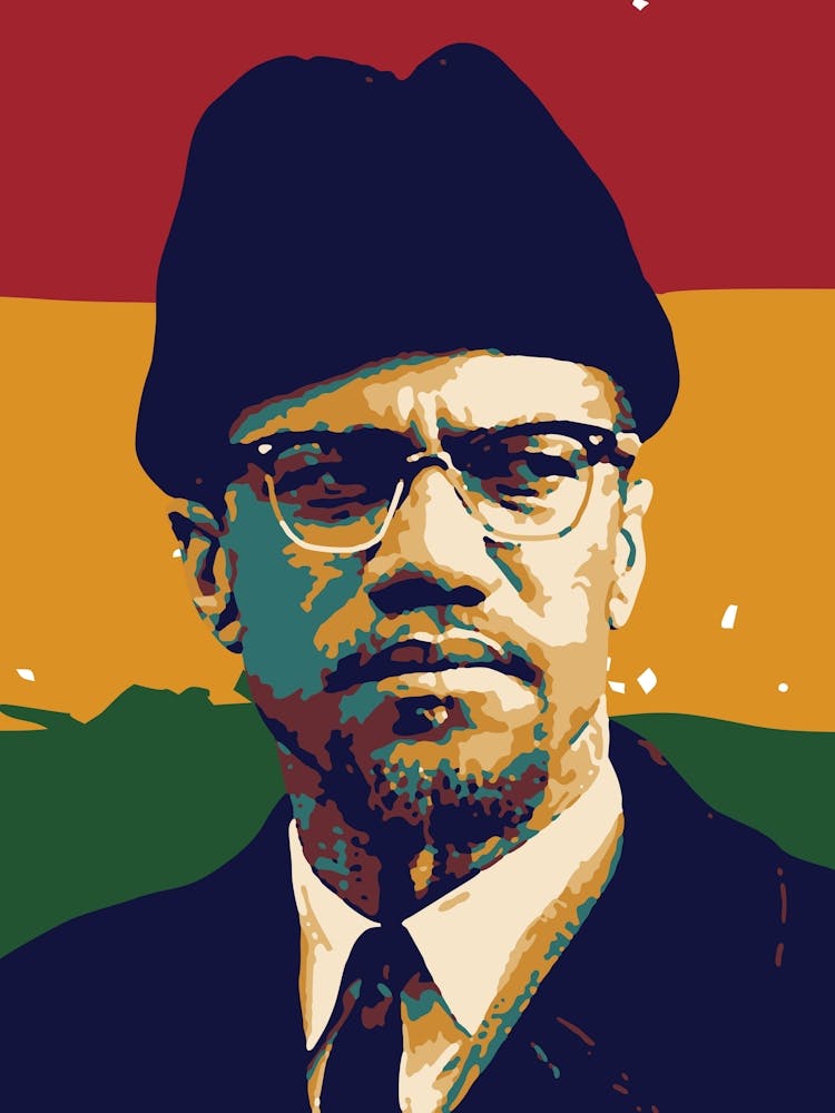 Malcolm X in Pop Art Human Rights Activist 2