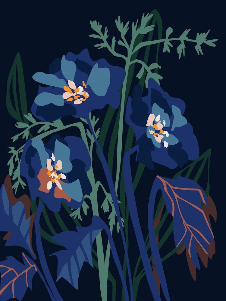Wild Flowers Modern Floral Illustration