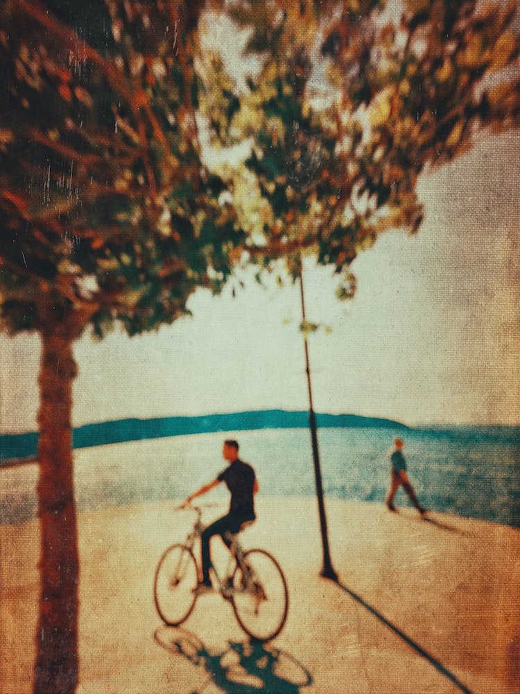 Sunny Daydream