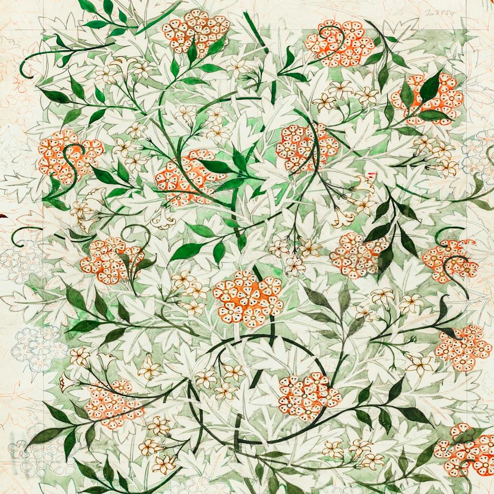 William Morris Jasmine