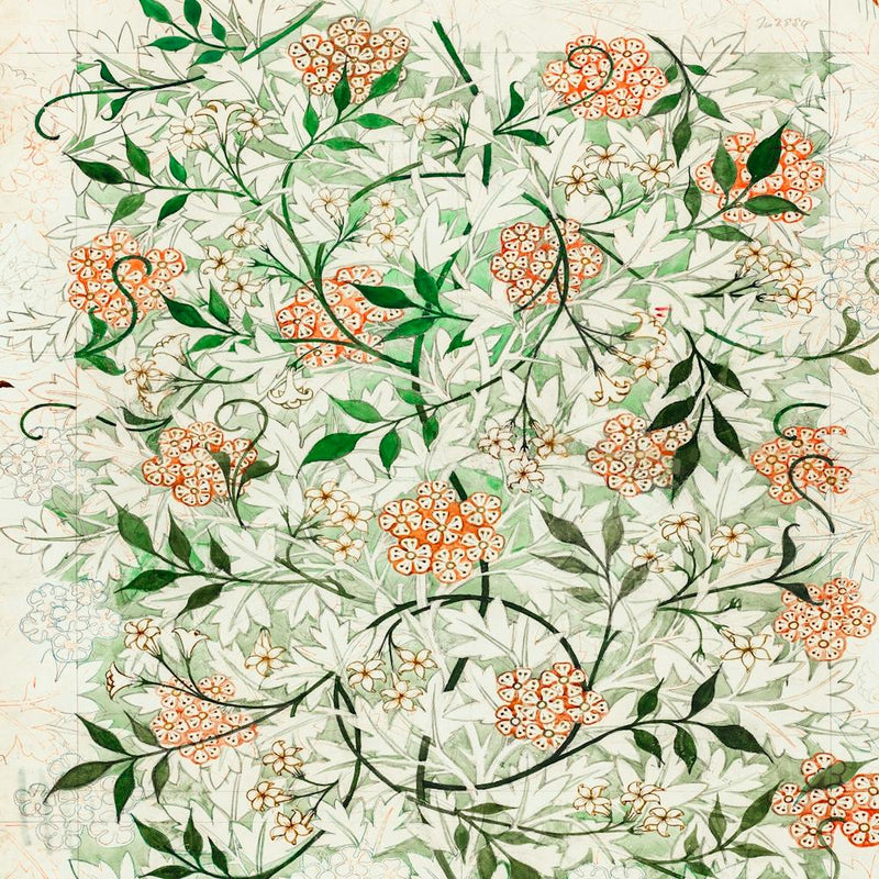 William Morris Jasmine