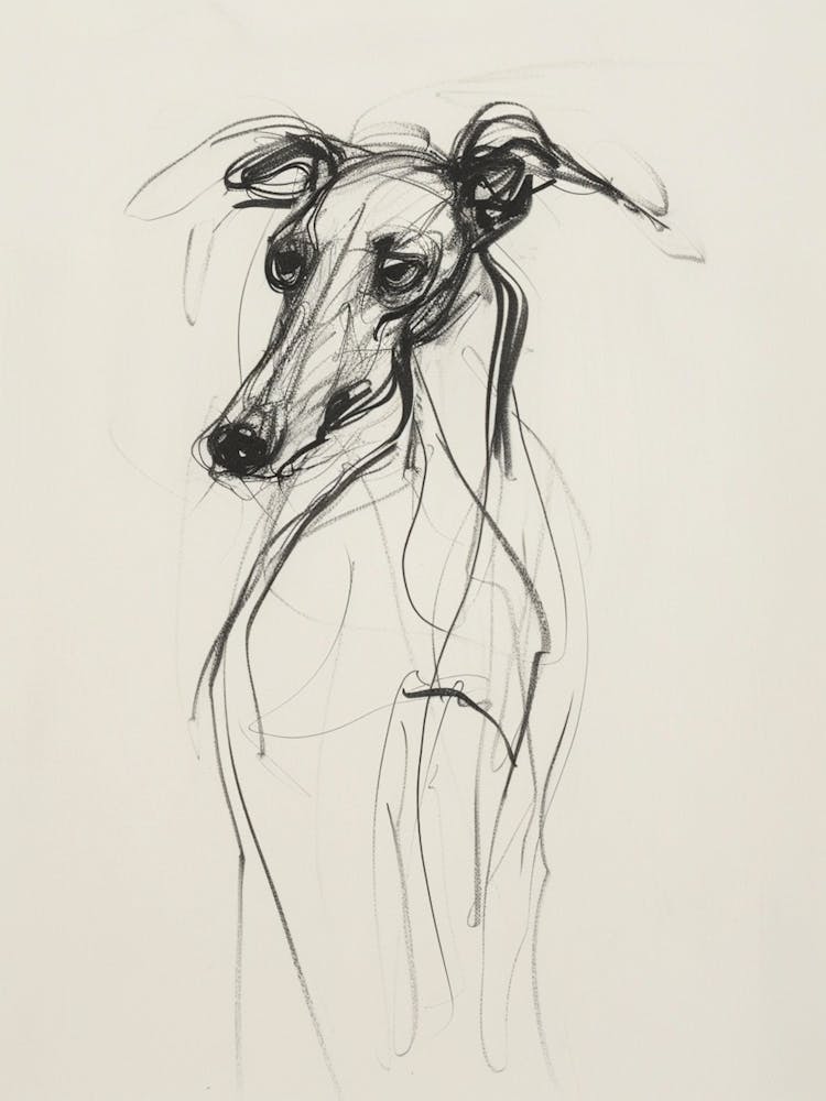 Greyhound Dog Charcoal Line 3