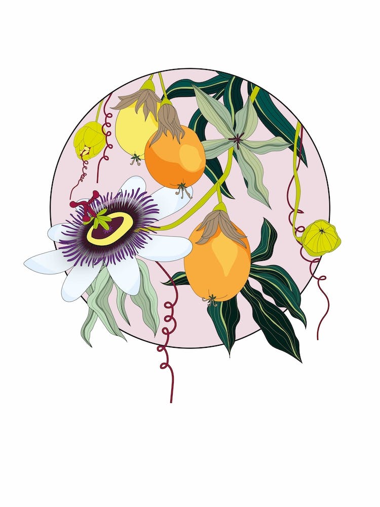 Circular Mofit Passionfruit Flowers