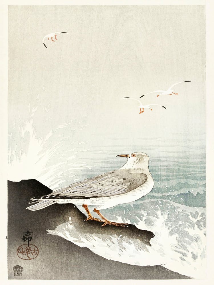 Gull On Rock (1900 1910), Ohara Koson