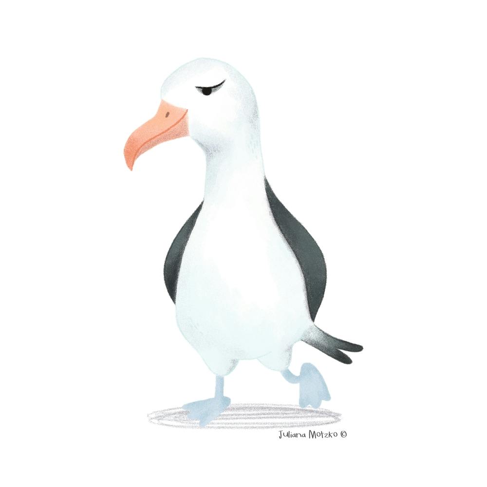 Albatros