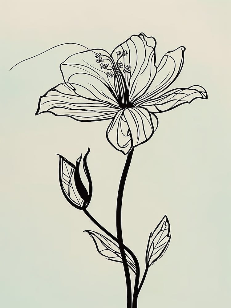 Lilies Line Art Flowers Illustration Neutral 11