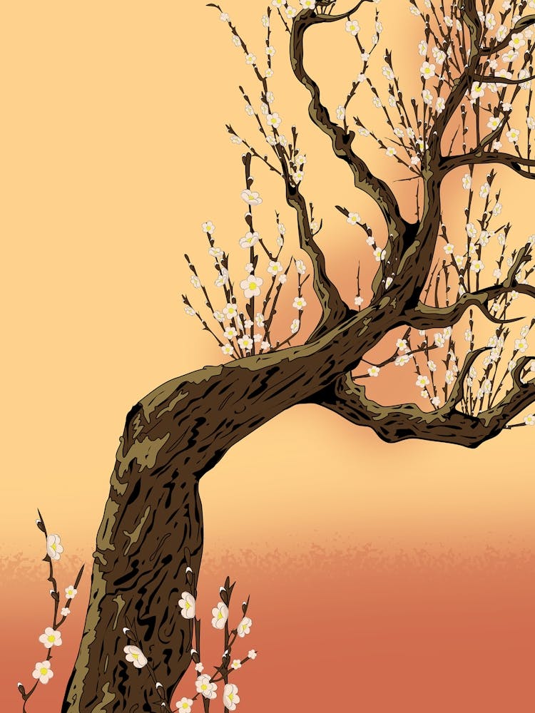 Asian Cherry Blossom Tree
