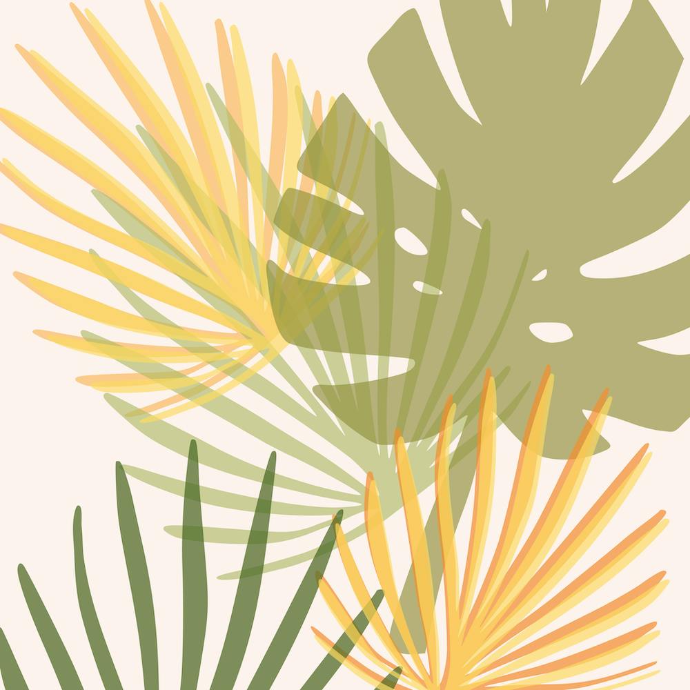 Tropical Leaves