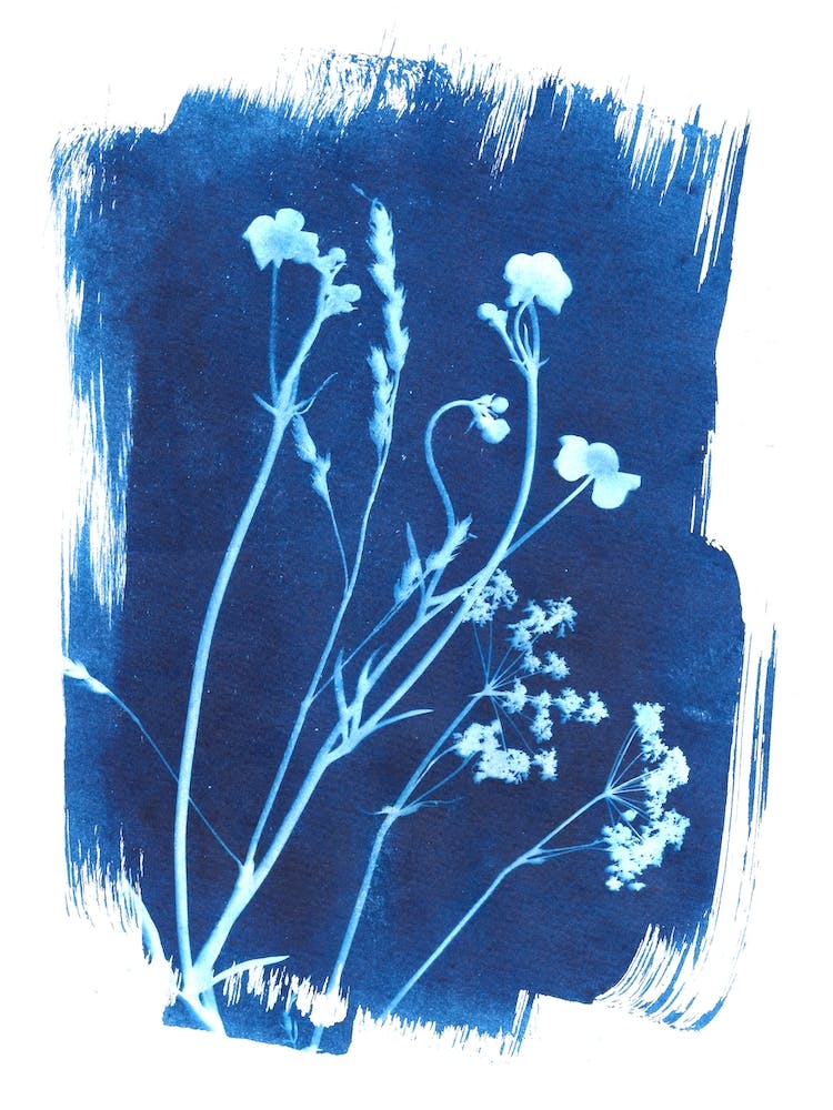 Blue Mixed Flowers