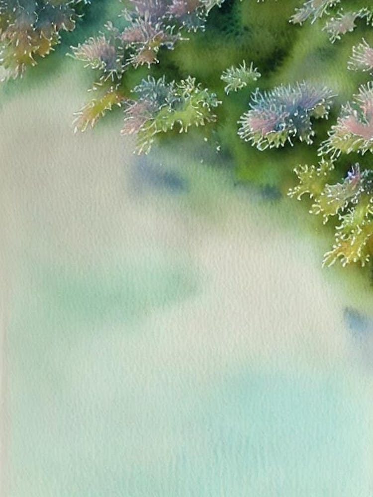 Acropora Gemmifera Vi Storybook Watercolour