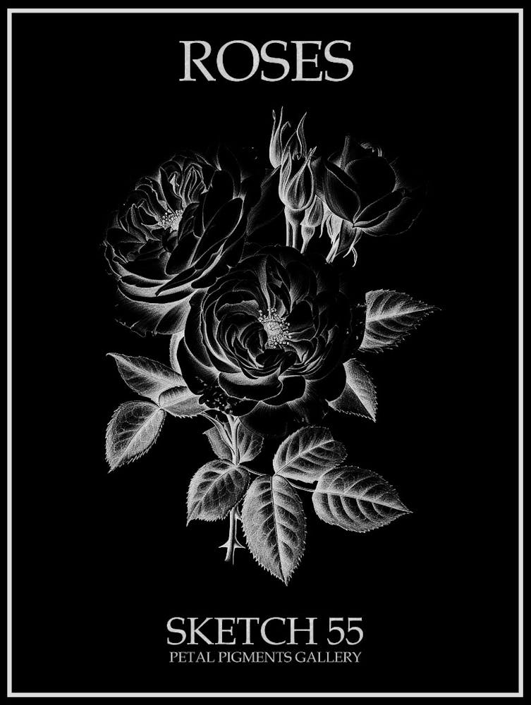 Roses Sketch 55 Poster Inverted