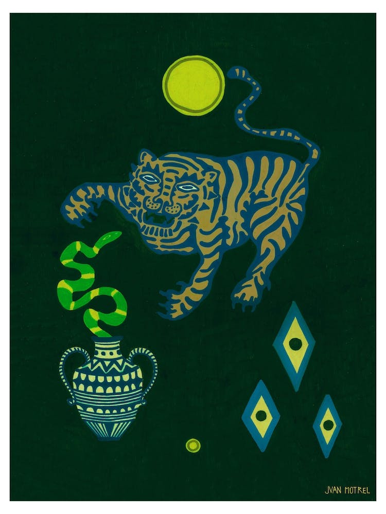 Dark Tiger And Snake