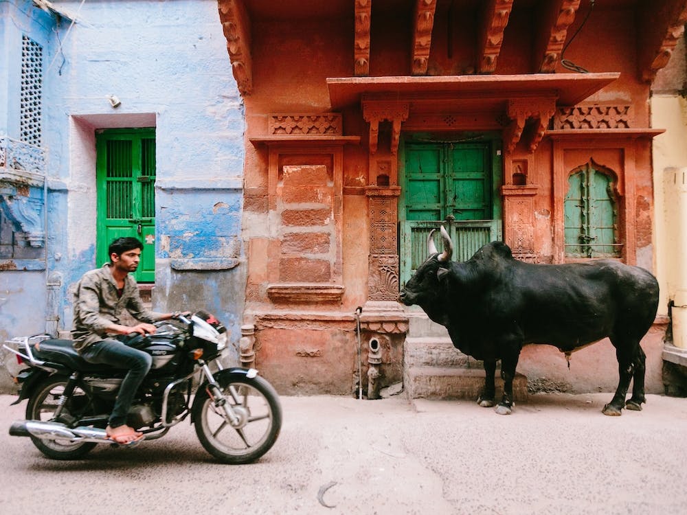 Jodhpur Indien