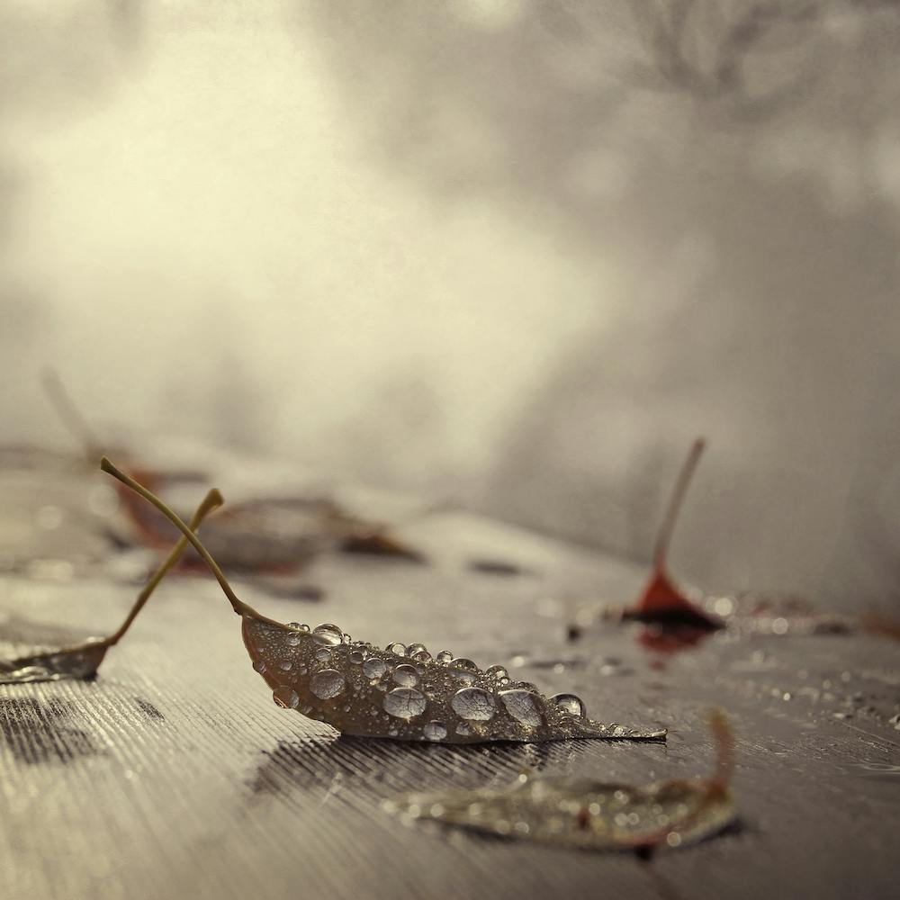 Misty Am