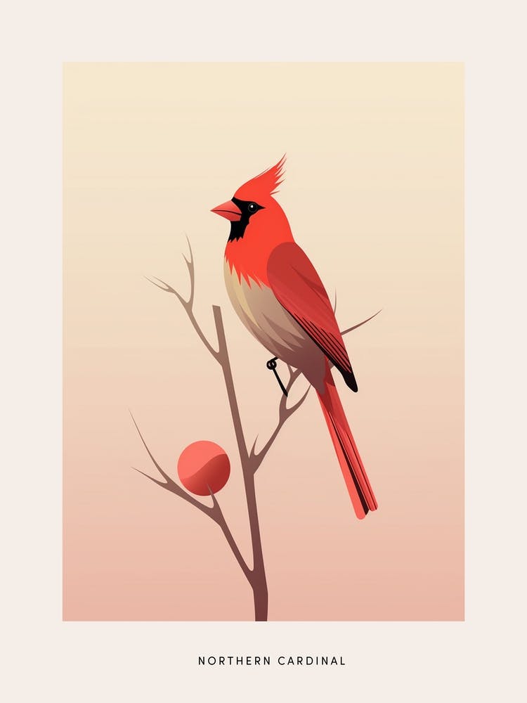 Minimalist Northern Cardinal 2 Bird Poster