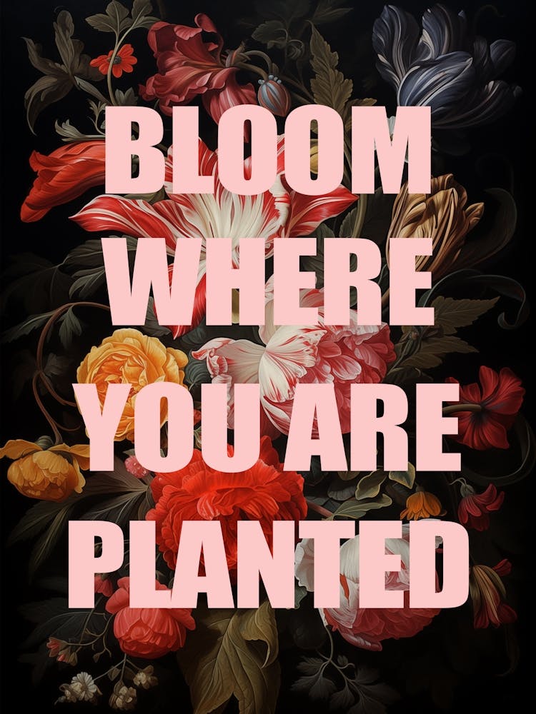 Bloom Where You Are Planted