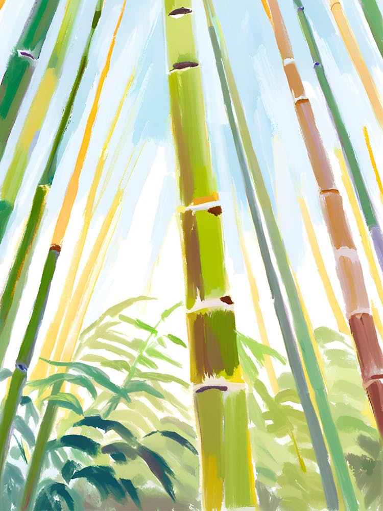 Bamboo Forest