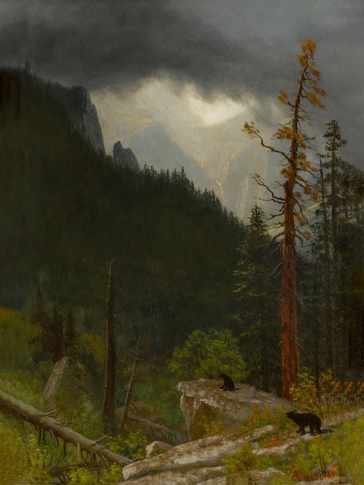 Rockies After A Storm, Albert Bierstadt
