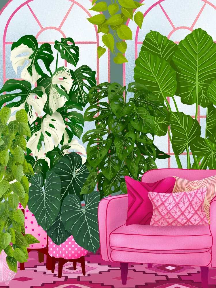 Pink Plant Room1