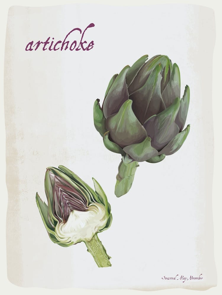 Artichaut Impression d'illustration vintage