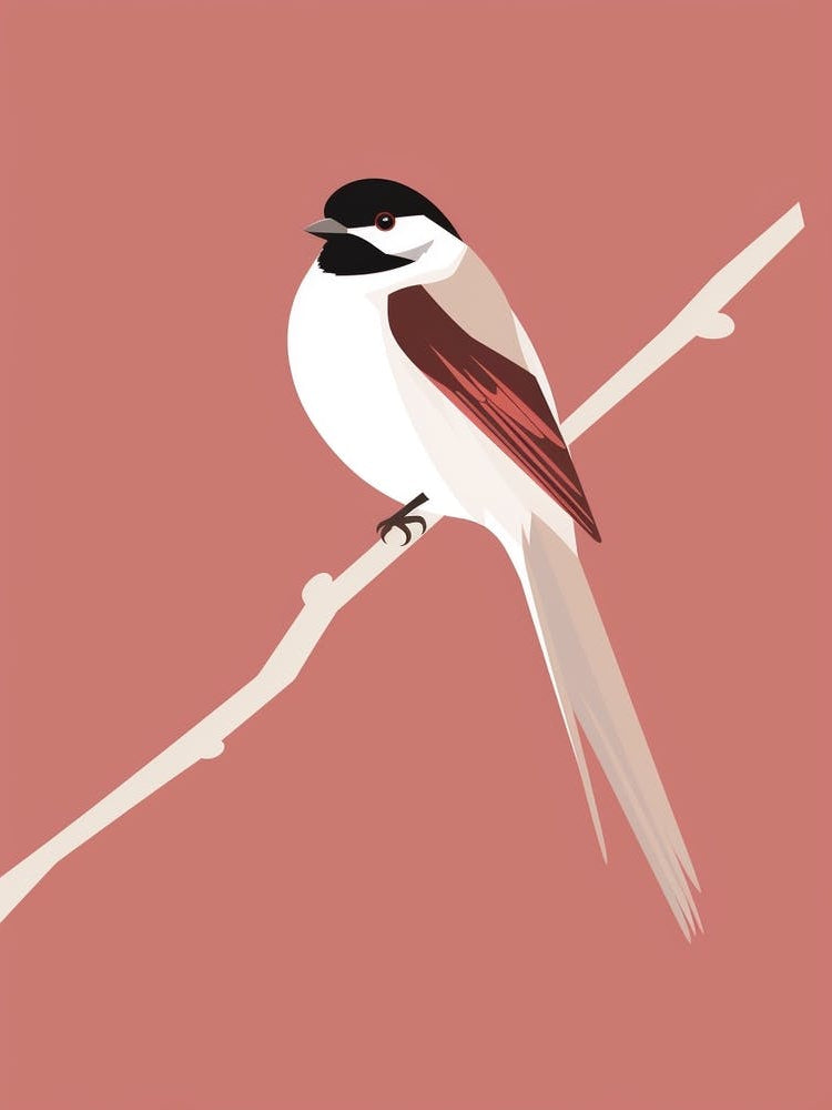 Minimalist Sparrow 3 Illustration