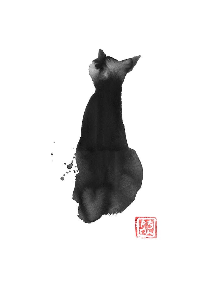 Cat Black