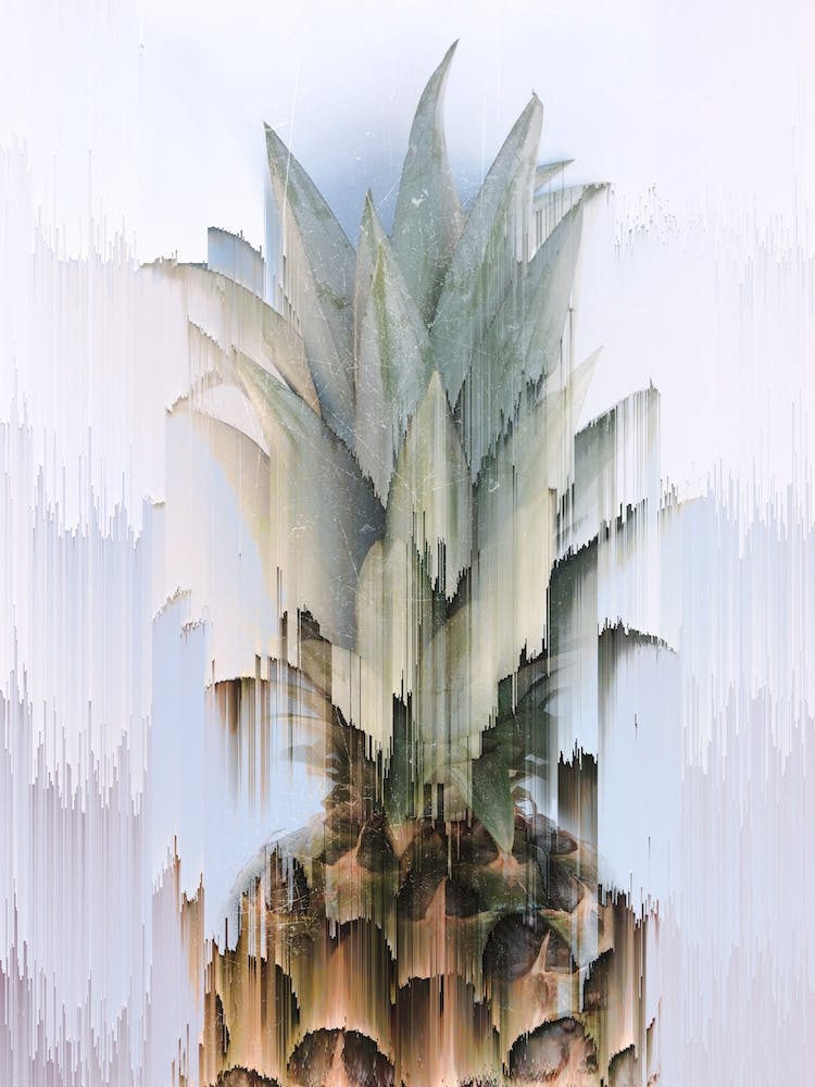Glitched Pineapple