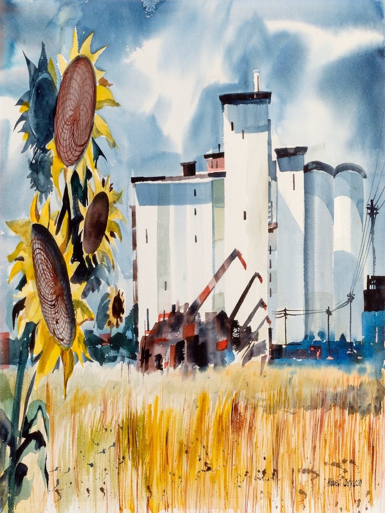 Sunflowers And Silos