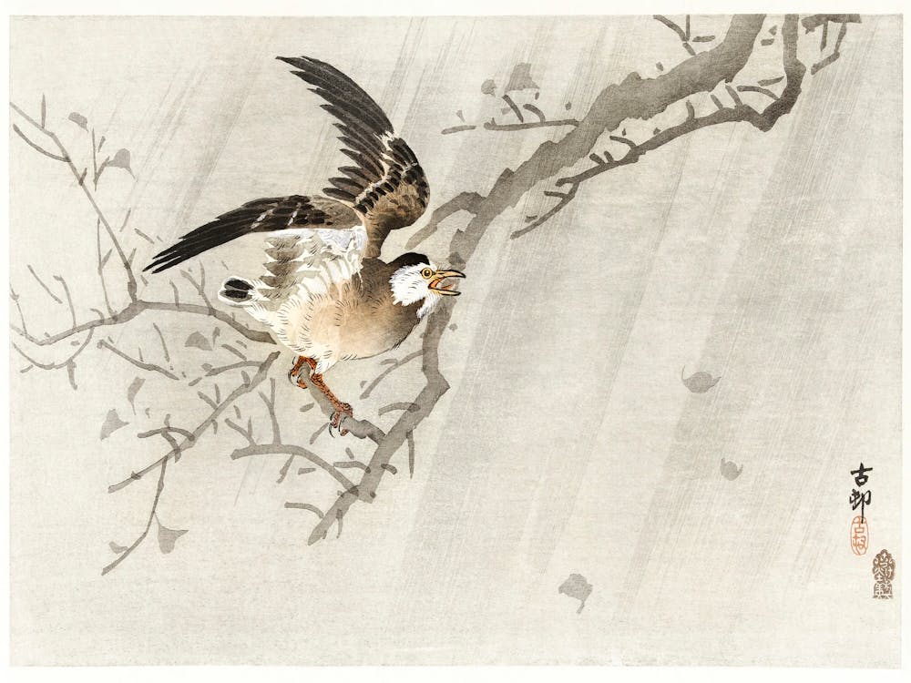 Gray Starling In Storm (1900 1910), Ohara Koson