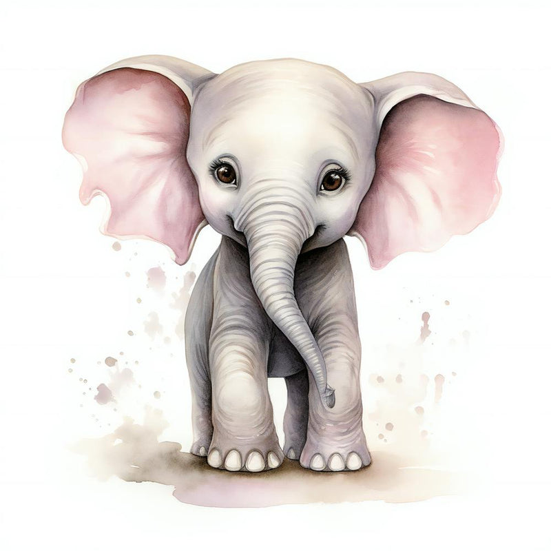 Baby Elephant