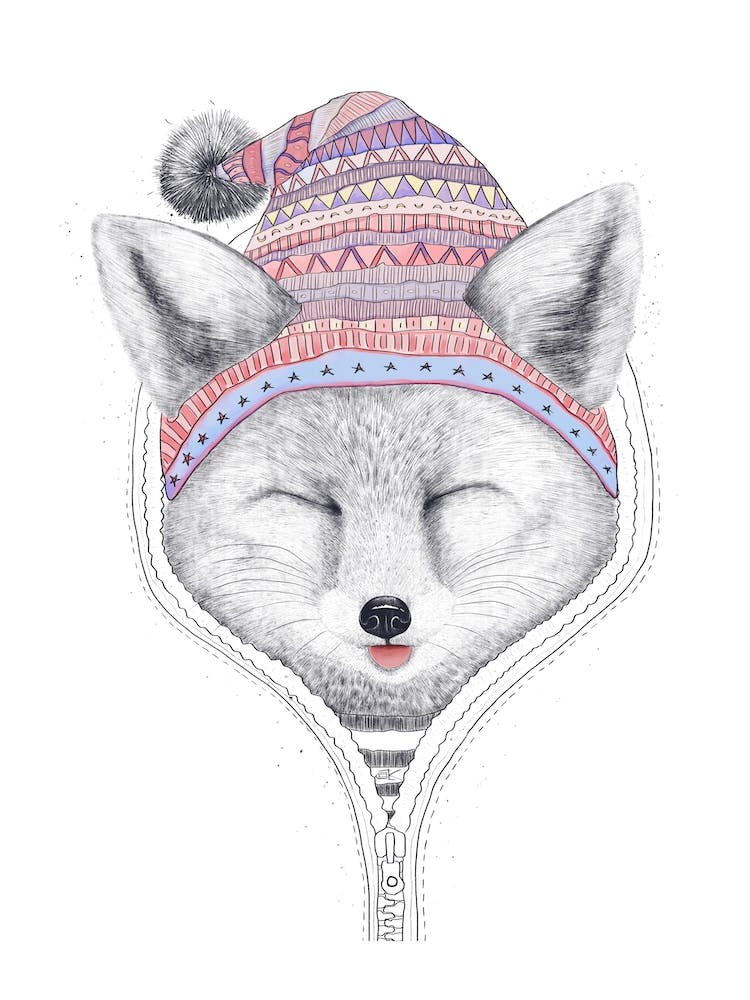 Fox In A Hood